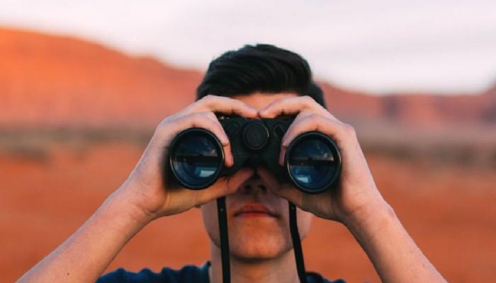 SHIB, ADA, ETH ve Ripple: Haftaya Bu Düzeyler Bekleniyor!