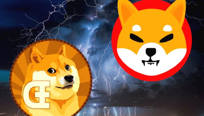 SHIB, DOGE Değil: Artık Bu Altcoin Milyoner Doğuruyor!