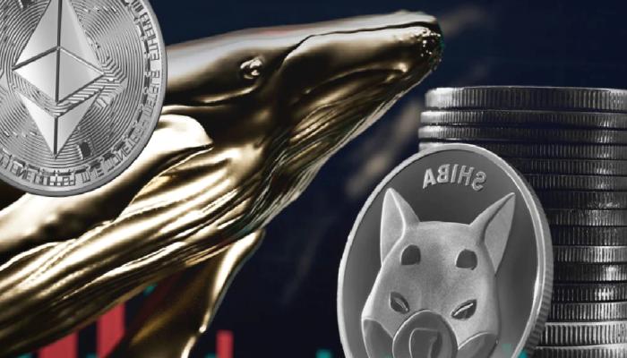 SHIB ve Ethereum İçin Dikkat: Balinalar Milyarları Boşaltıyor!