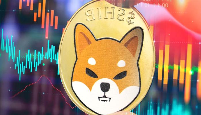 SHIB ve TRON İçin Müjde: Yeni İştirak Duyuruldu!