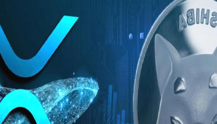 SHIB ve XRP Biriktiren Balinalar, Bu Coinleri Satıyor!