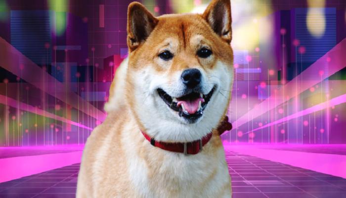 Shiba Inu, 3 Büyük Haberi Duyurdu: Paydaşlık da Var!