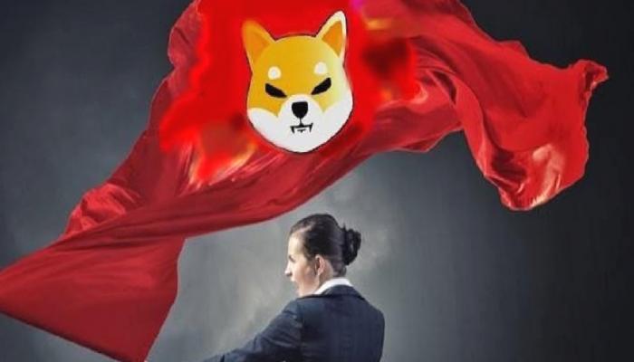 Shiba Inu İçin Heyecan Verici Hatırlatma! Ne Geliyor?