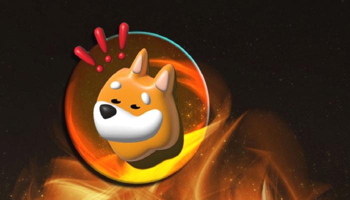 Shiba Inu (SHIB) Ekosistemi Yükselişte: Yüzde 25 Artış!