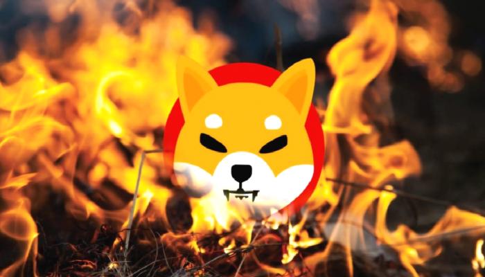 Son 24 Saatte 32 Milyon Shiba Inu (SHIB) Yakıldı!