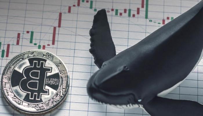 Tarihi Bitcoin Balinaları Uyandı! Sıradaki Atak Ne?