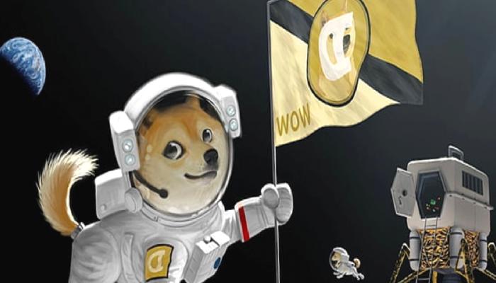 Twitter Logosunun Olağana Dönmesinin Akabinde Dogecoin Düştü
