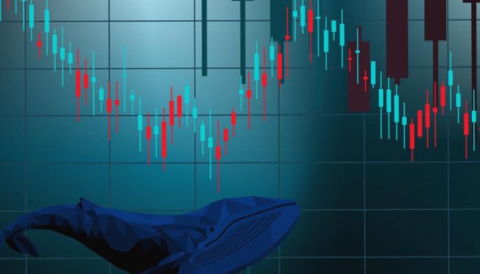 Ünlü Balinadan Altcoin İddiaları: Coin İsimleri Verdi!