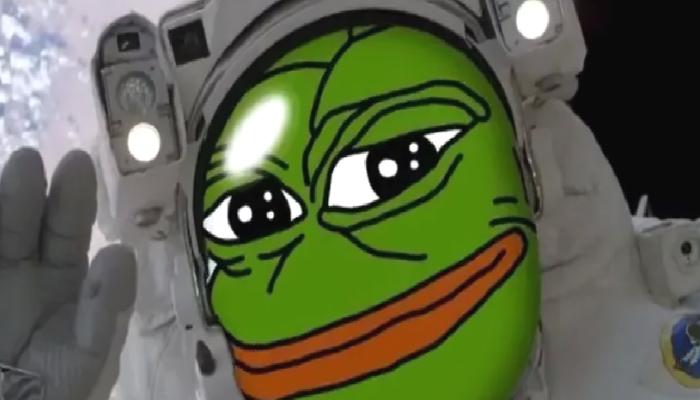 10 Milyon Dolarlık Pepe (PEPE) Tasfiye Edildi!