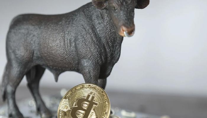 3 Analist: Bitcoin ve Altcoin Yükselişi Bu Tarihte Başlıyor!