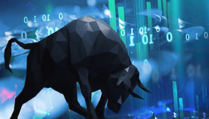 Analist: Bu Altcoinler Bir Sonraki Boğa Koşusunda Önde Olacak!