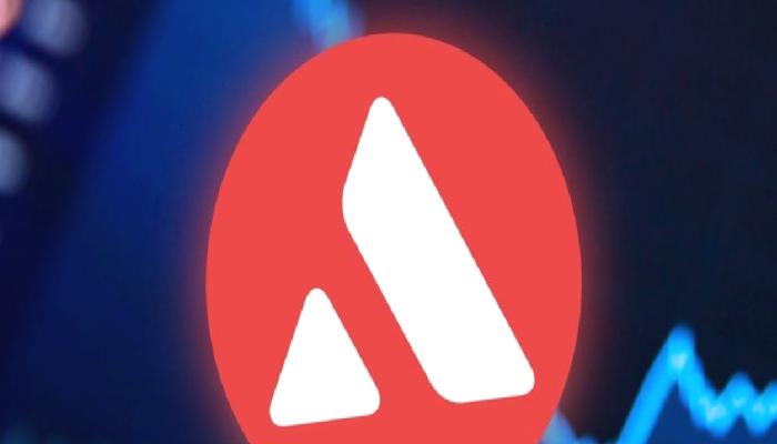 Avalanche (AVAX), Haftalar Sonra O Düzeyde