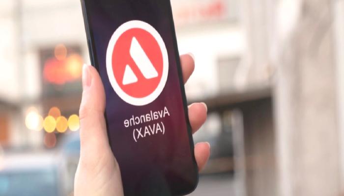 Avalanche’ta (AVAX) Neler Oluyor? 30 Mayıs 2023