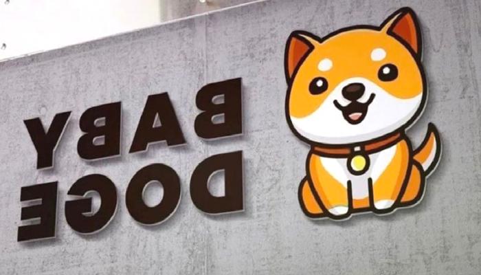 Baby Doge, Memecoin Furyasının Ortasında Yakım Yaptı
