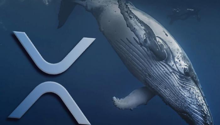 Balinalar Ripple (XRP)’a Akın Etti! Fiyat Nereye Gidiyor?