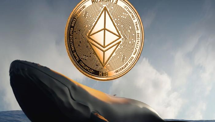Balinalar Süratlice ETH, XRP ve MATIC Taşıyor: İşte Ne Yaptıkları
