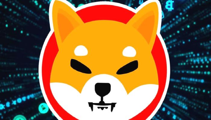 Bir Trader, SHIB ve Bu Coinler ile Çılgın Kârlar Topladı!