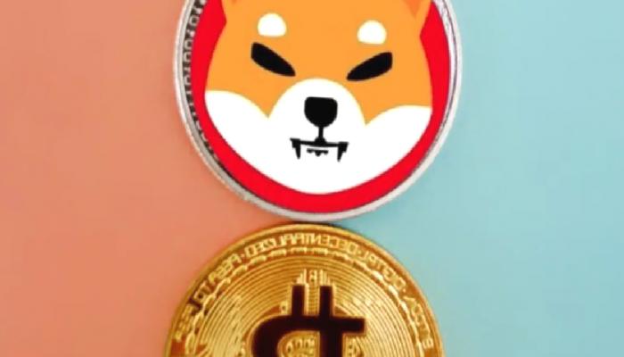 Bitcoin, SHIB’i Devirdi: Herkes Bu Altcoinin Peşinde!