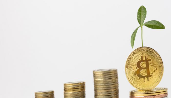 Boşanma Davasına Bitcoin Damgası!