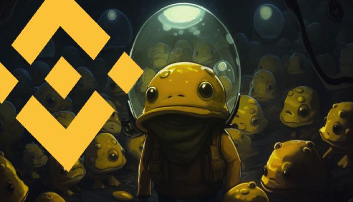 Bu Altcoin, Binance Listeleme Söylentisiyle Manşetlerde!