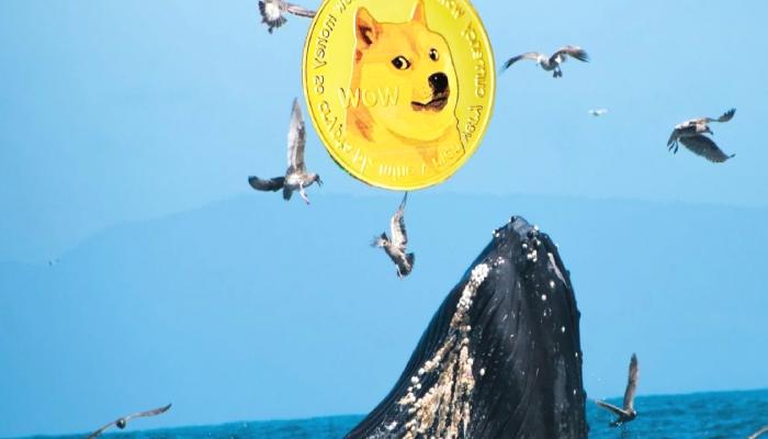 Dikkat: DOGE Satan Yatırımcılar Bu Altcoin’e Geçiyor!