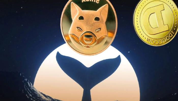 DOGE, SHIB ve LADYS Borsalara Taşınıyor! Satış mı Var?