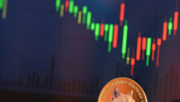 Dogecoin (DOGE) Sıçrama Yapabilir mi?