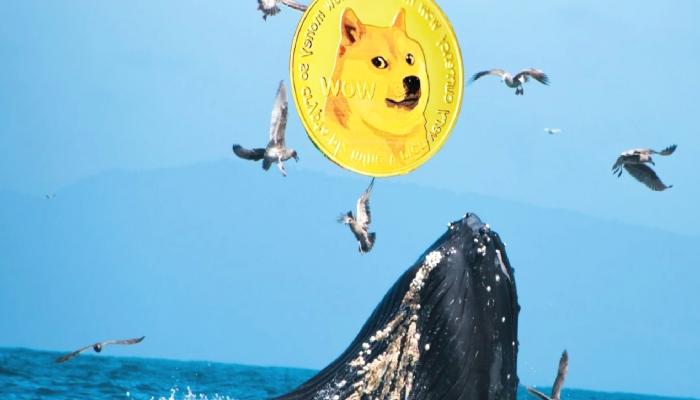 Dogecoin Satan Balinaların Yeni Avı Bu Altcoin!