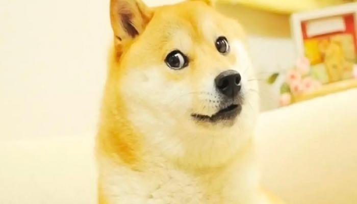 DRC20 ile Dogecoin Öne Çıkıyor