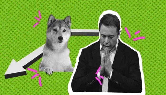 Elon Musk Açıklama Yaptı: DOGE Ansızın Hareketlendi!