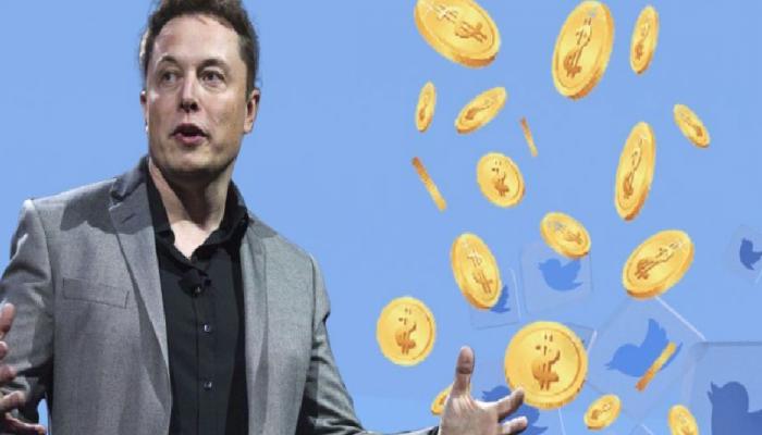 Elon Musk DOGE Değil: Bu Altcoini Tek Tweetle Uçurdu!