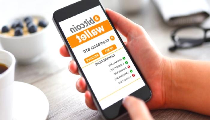 En Az 1 BTC Tutan Cüzdanlar Rekor Seviyede!