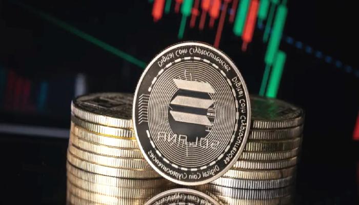 Geliştiricilerin Tercihi Solana Değil: Bu Altcoin Olabilir!