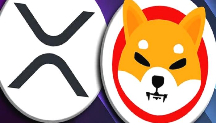 Gerçek Öngörüleri Olan Metrikten SHIB ve XRP İçin Tahmin!