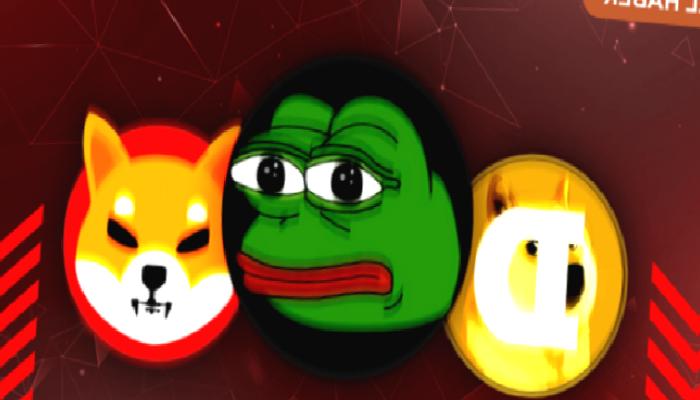 Memecoin Furyası Bitti mi?