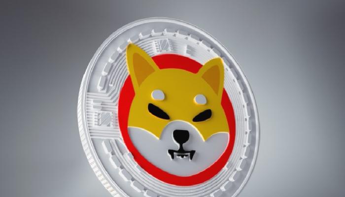 Messari: Bu Altcoin SHIB’ten Daha Süratli Büyüyebilir!