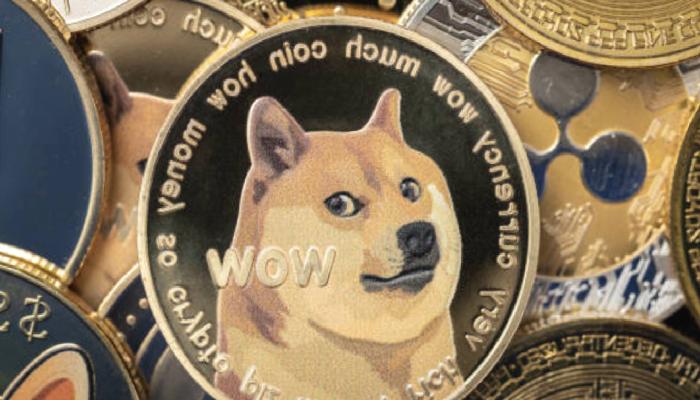 Nam Salan Analist: DOGE Hariç! Bu Altcoinler Sıfıra Gidiyor!
