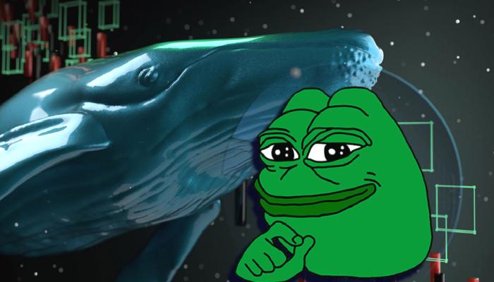 PEPE Coin Milyonerinin Yeni Avı, Bu Altcoin!