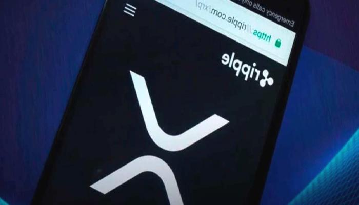 Ripple Siyaset Lideri, Avrupa’ya Göz Çevirdi