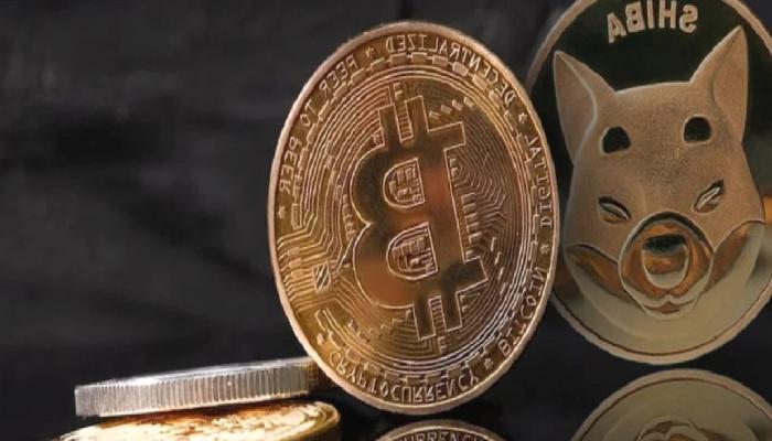 SHIB ve Bitcoin İçin Mayıs İddiaları: İşte Beklentiler!