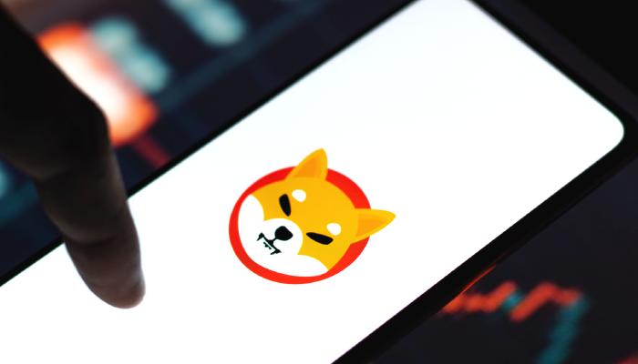 Shiba Inu Kritik Duyurular Yapıp, Tarih Bile Verdi!