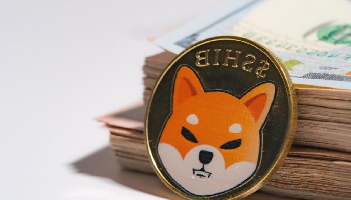 Shiba Inu (SHIB), Bu Fiyatları Test Edebilir!
