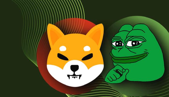 Sıradaki PEPE, SHIB’i Kaçırmamak İçin Bu Balinaları İzleyin!