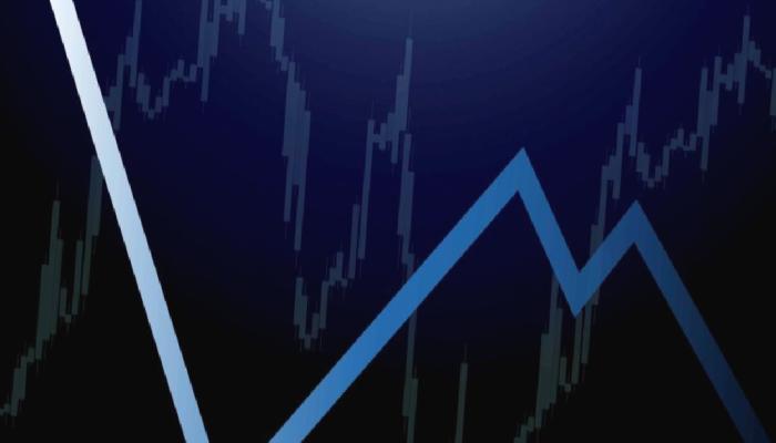 Tarihi Rekor Düzey: Altcoin Bir Günde 10x Yaptı!