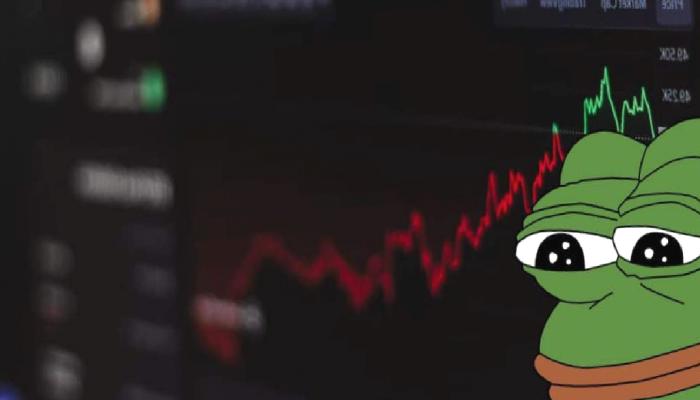 Ünlü Şirket, PEPE ve Elindeki Bu Altcoinleri Sattı!