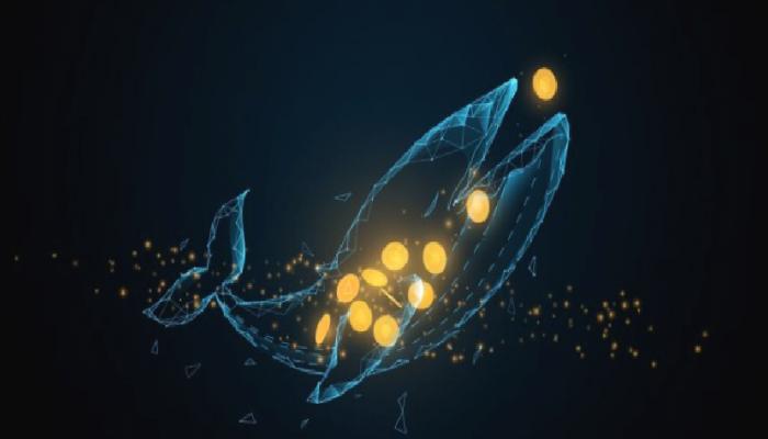 WBTC ve BEN Satan Balinalar, Bu 5 Coinden Aldı!