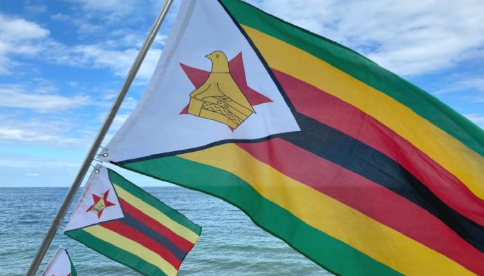 Zimbabve Altın Dayanaklı Dijital Token İçin Fiyat Belirledi