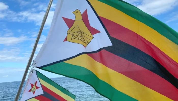 Zimbabve Bankalarından Dijital Para Dayanaklı Kredi Açıklaması
