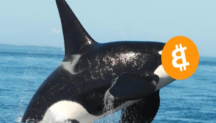 10 Yıldır Uykuda Olan Bir BTC Balinası Harekete Geçti!