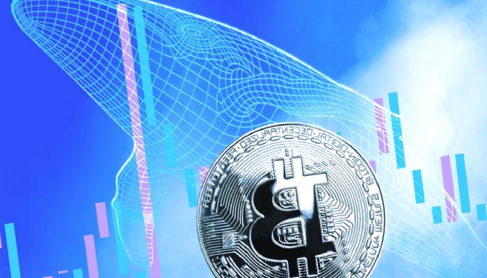 13 Yıldır Uyuyan Bitcoin Balinaları Neden Uyandı?
